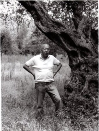 Castoriadis en Grèce - 1984